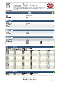 校正レポート